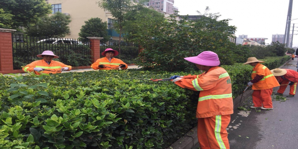 新站區(qū)道路清掃保潔、綠化管養(yǎng)項(xiàng)目