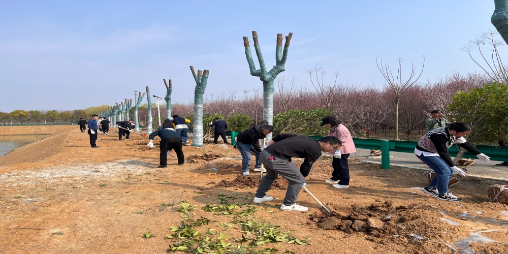 黨建引領共植綠 凝心聚力譜新篇 ——和合生態(tài)、德嘉置業(yè)黨支部赴小廟基地義務植樹